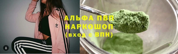 амф Магас
