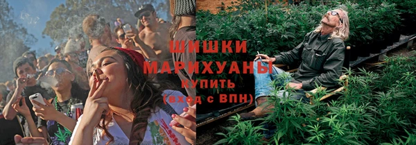 амф Магас