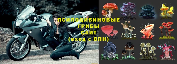 мяу мяу мука Майский
