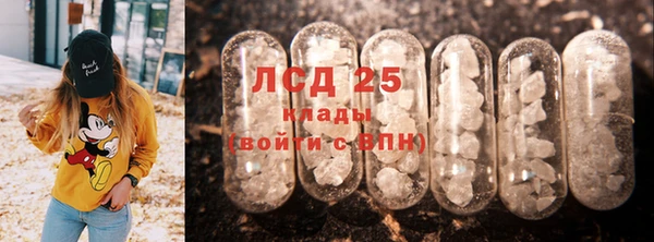 мдпв Гусев